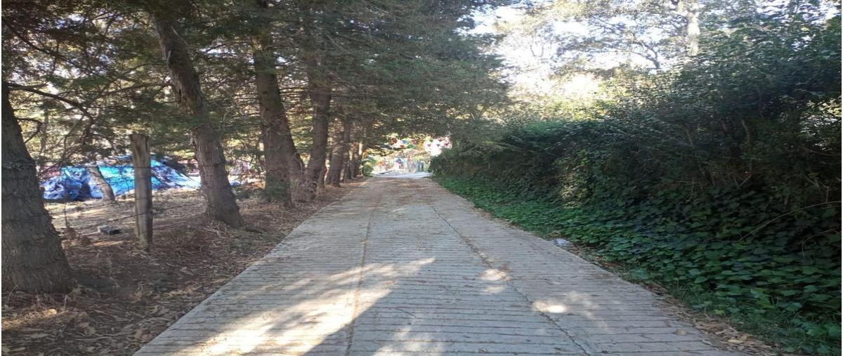 Foto de terreno habitacional en venta en san martin cachihuapan , san martín cachihuapan, villa del carbón, méxico, 27768495 No. 05