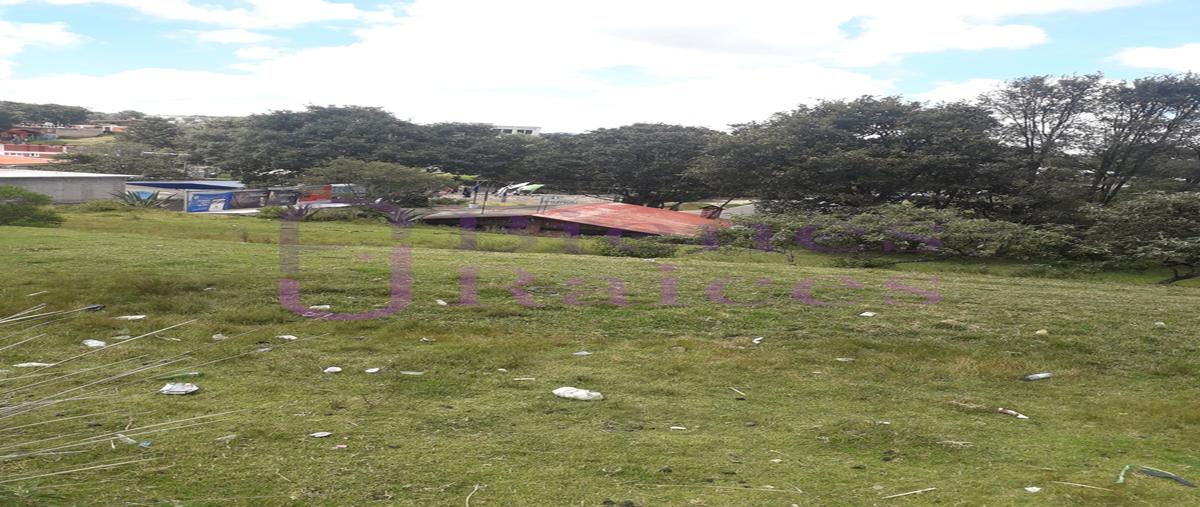 Foto de terreno habitacional en venta en  , san martín cachihuapan, villa del carbón, méxico, 0 No. 03