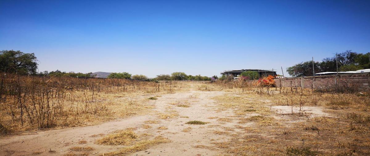 Foto de terreno habitacional en venta en  , san martín de las pirámides, san martín de las pirámides, méxico, 0 No. 04