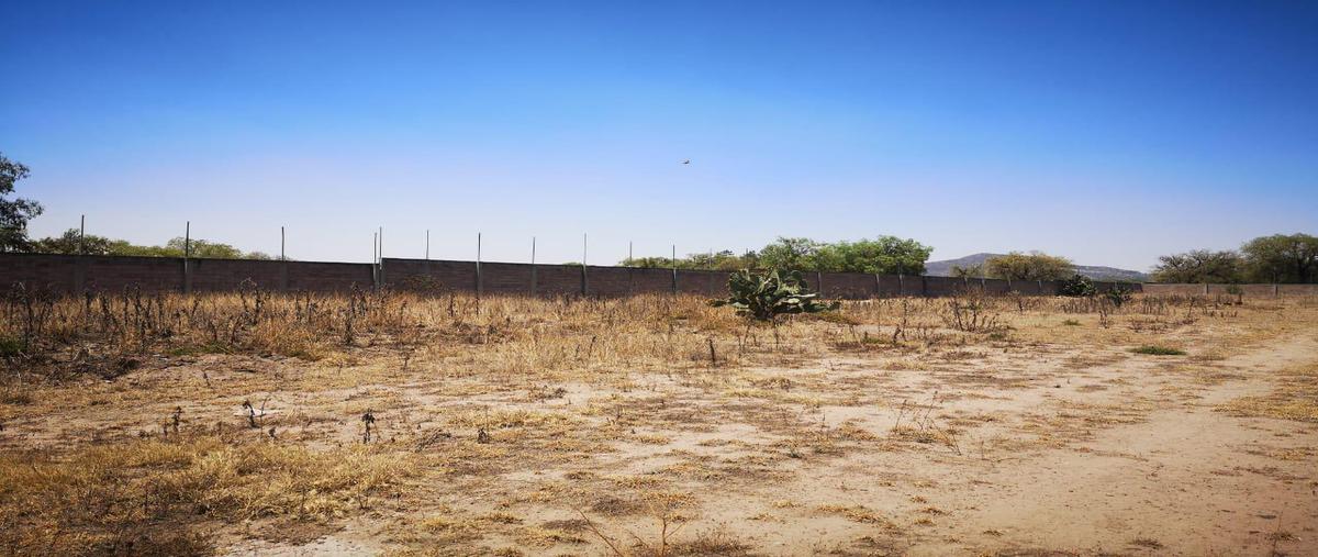 Foto de terreno habitacional en venta en  , san martín de las pirámides, san martín de las pirámides, méxico, 0 No. 05