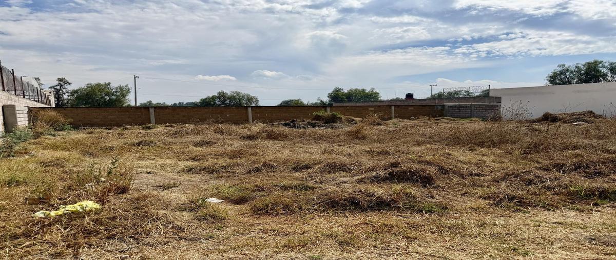 Foto de terreno habitacional en venta en  , san martín de las pirámides, san martín de las pirámides, méxico, 0 No. 03