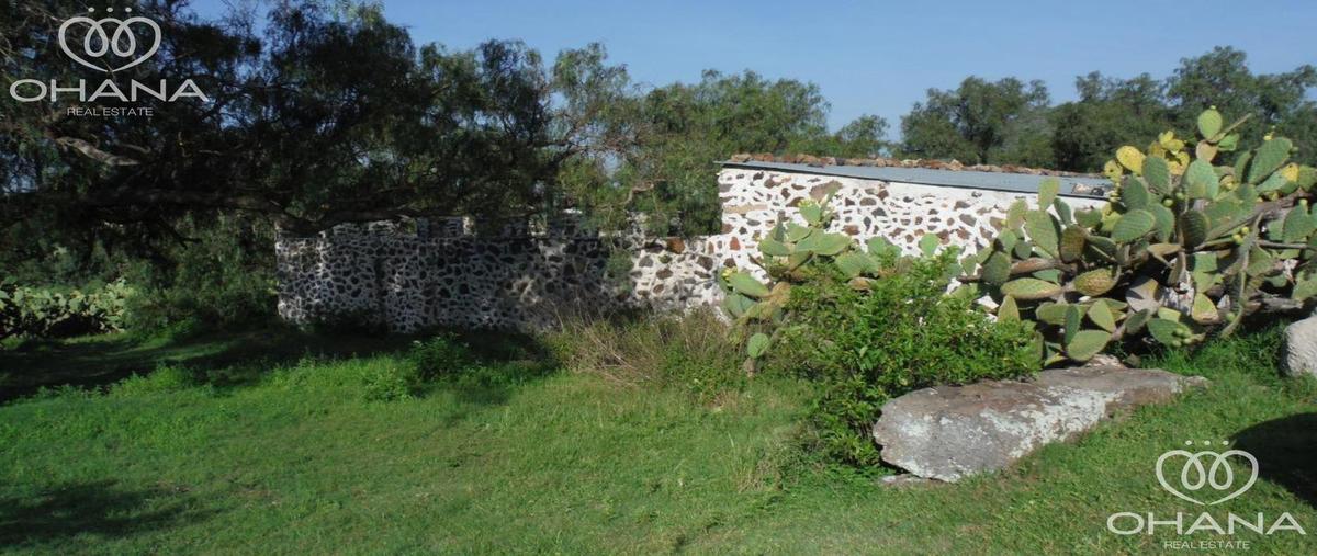 Foto de terreno habitacional en venta en  , san martín de las pirámides, san martín de las pirámides, méxico, 0 No. 03