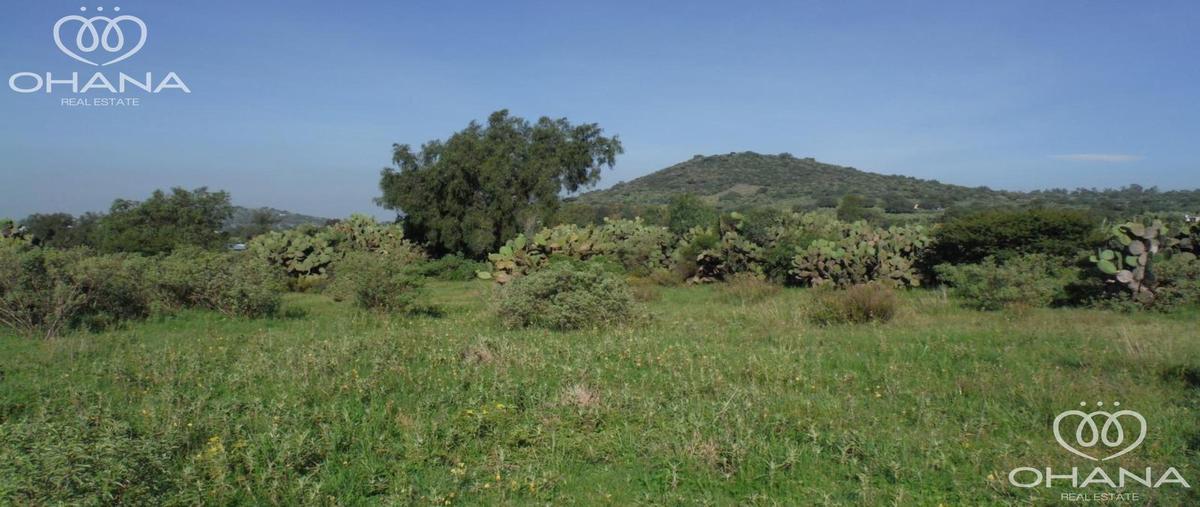 Foto de terreno habitacional en venta en  , san martín de las pirámides, san martín de las pirámides, méxico, 0 No. 04
