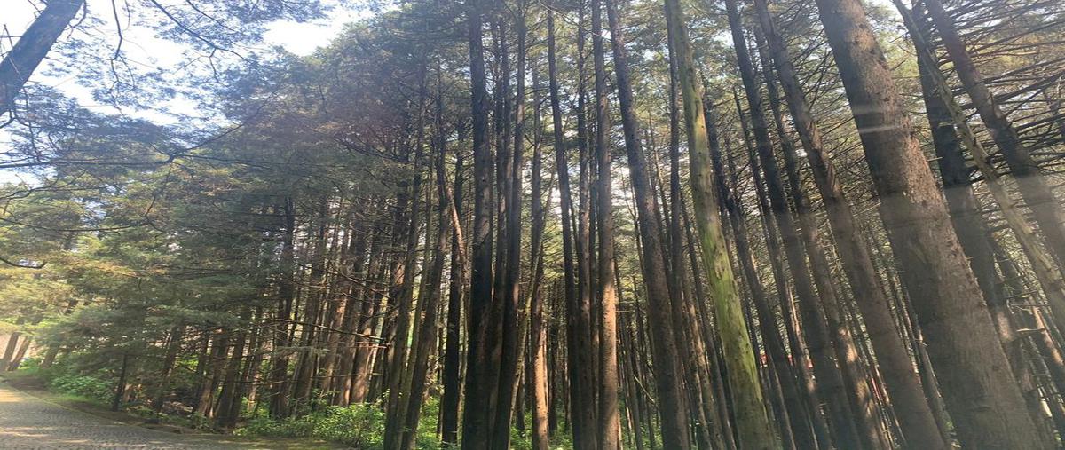 Foto de terreno habitacional en venta en san martin , ex-hacienda jajalpa, ocoyoacac, méxico, 24594180 No. 04