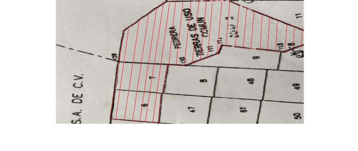 Foto de terreno habitacional en venta en  , san martín tepetlixpa, cuautitlán izcalli, méxico, 0 No. 04