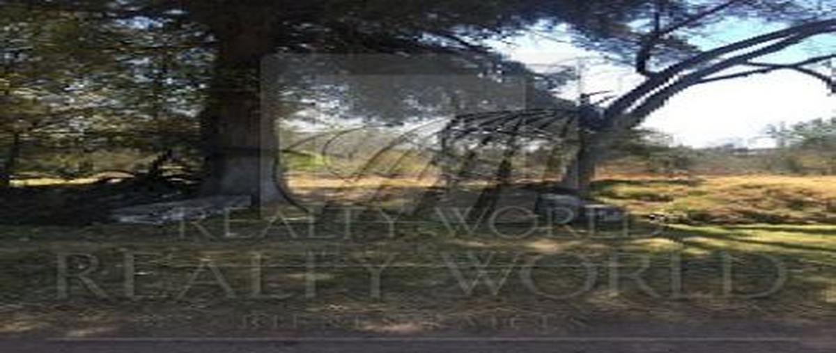 Foto de terreno habitacional en venta en  , san mart?n toltepec, toluca, m?xico, 1782902 No. 05