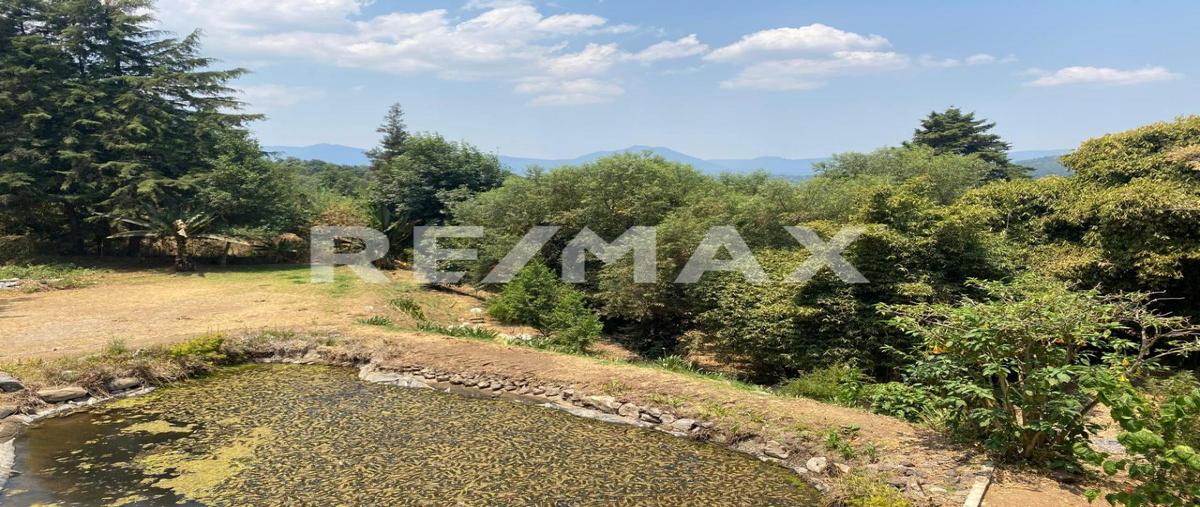 Foto de casa en san mateo acatitlán , valle de bravo, valle de bravo, méxico, 6845034 foto 03 Foto de casa en venta en san mateo acatitlán , valle de bravo, valle de bravo, méxico, 6845034 No. 03