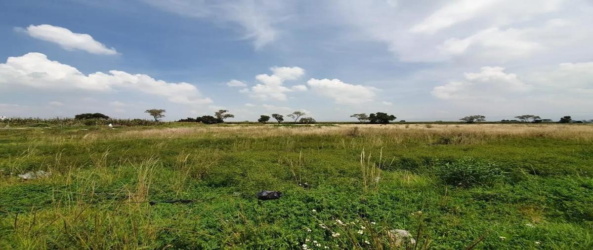 Foto de terreno habitacional en venta en  , san mateo atenco centro, san mateo atenco, méxico, 0 No. 03