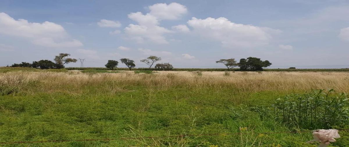 Foto de terreno habitacional en venta en  , san mateo atenco centro, san mateo atenco, méxico, 0 No. 05