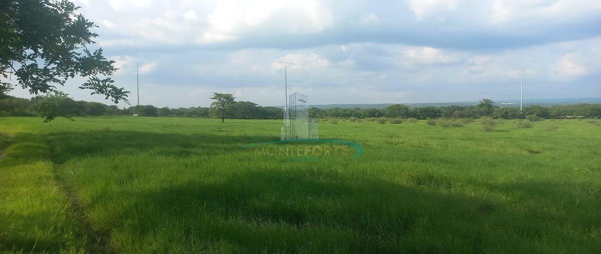 Foto de terreno habitacional en venta en  , san mateo, ciudad valles, san luis potosí, 0 No. 03