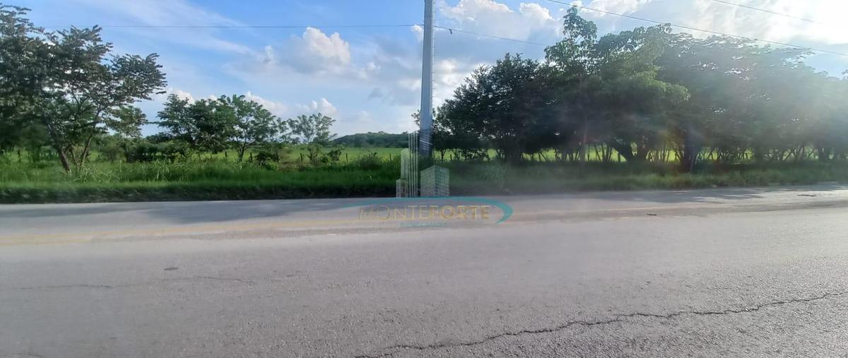 Foto de terreno habitacional en venta en  , san mateo, ciudad valles, san luis potosí, 0 No. 04