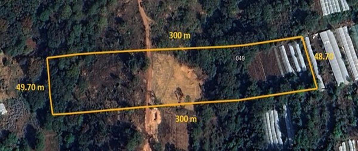 Foto de terreno habitacional en , san mateo coapexco, villa guerrero, méxico, 0 foto 01 Foto de terreno habitacional en venta en , san mateo coapexco, villa guerrero, méxico, 0 No. 01