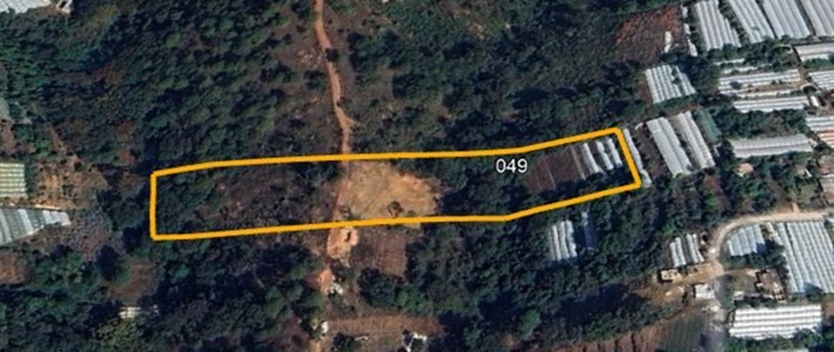 Foto de terreno habitacional en , san mateo coapexco, villa guerrero, méxico, 0 foto 02 Foto de terreno habitacional en venta en , san mateo coapexco, villa guerrero, méxico, 0 No. 02