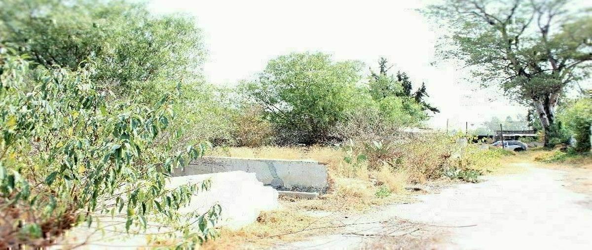 Foto de terreno habitacional en venta en  , san mateo huexotla, texcoco, méxico, 27544335 No. 04