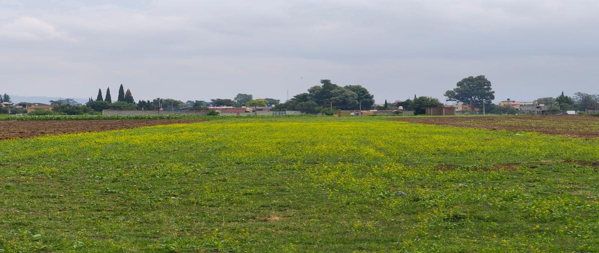Foto de terreno habitacional en venta en  , san mateo huitzilzingo, chalco, méxico, 0 No. 03