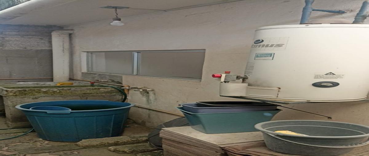 Foto de casa en venta en  , san mateo ixtacalco, cuautitlán, méxico, 0 No. 05