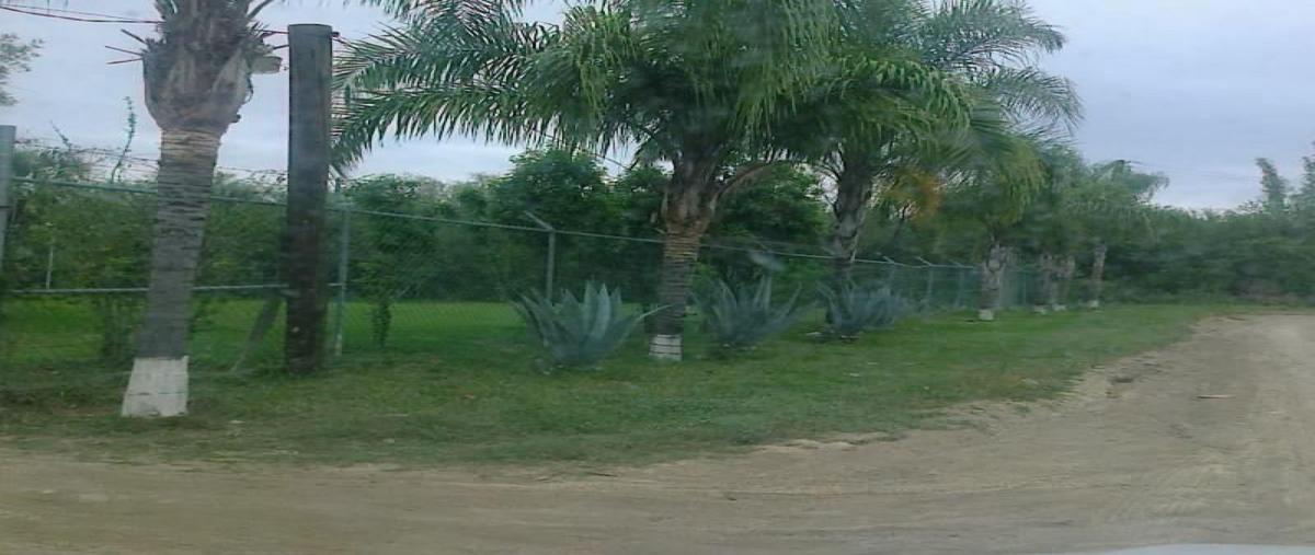 Foto de terreno habitacional en venta en  , san mateo, juárez, nuevo león, 30173679 No. 03