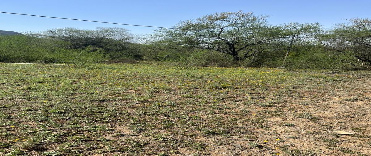 Foto de terreno habitacional en venta en  , san mateo, juárez, nuevo león, 30173679 No. 05