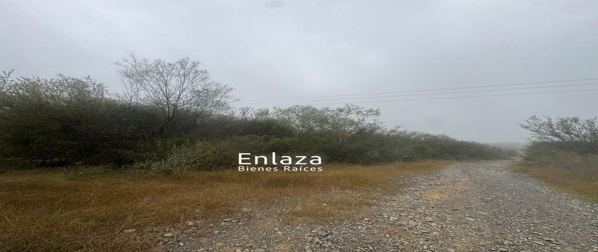 Foto de terreno habitacional en venta en  , san mateo, juárez, nuevo león, 0 No. 05