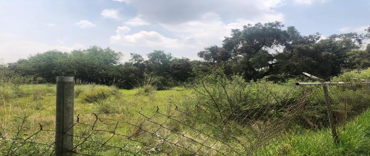 Foto de terreno habitacional en venta en  , san mateo nopala zona norte, naucalpan de juárez, méxico, 27063559 No. 03
