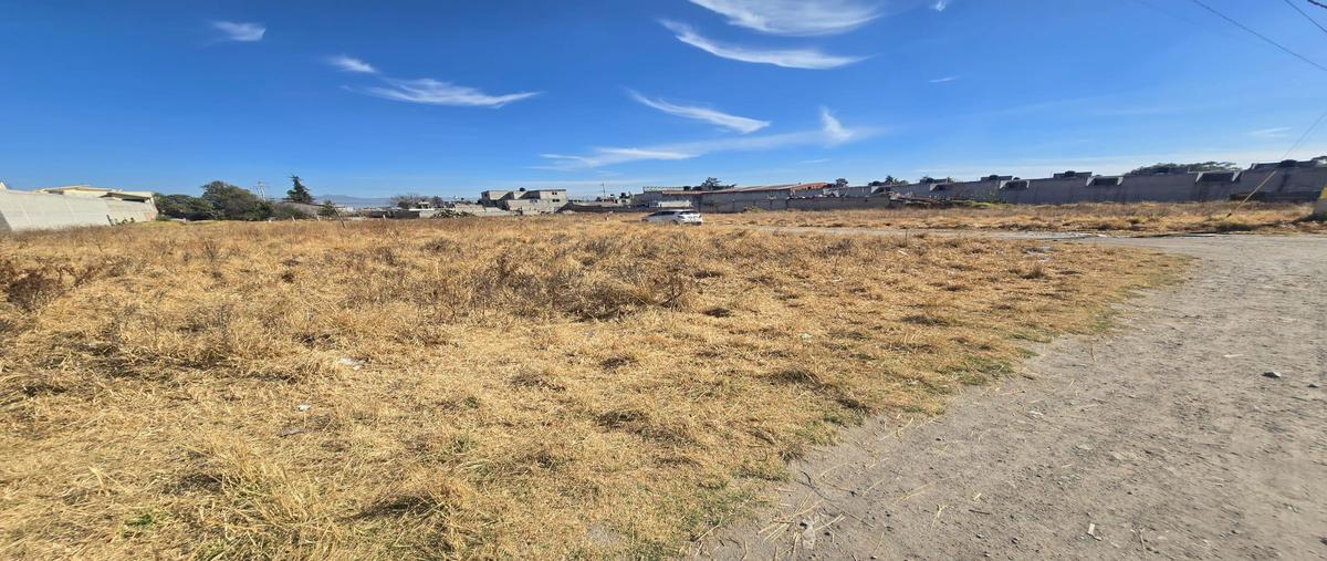 Foto de terreno habitacional en venta en  , san mateo otzacatipan, toluca, méxico, 0 No. 04