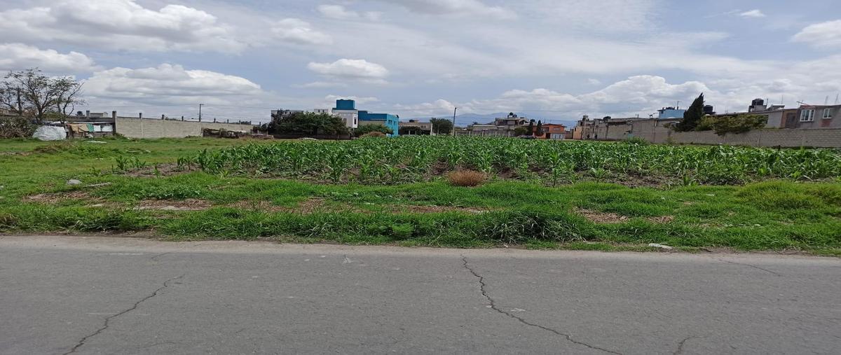 Foto de terreno habitacional en venta en  , san mateo otzacatipan, toluca, méxico, 0 No. 04