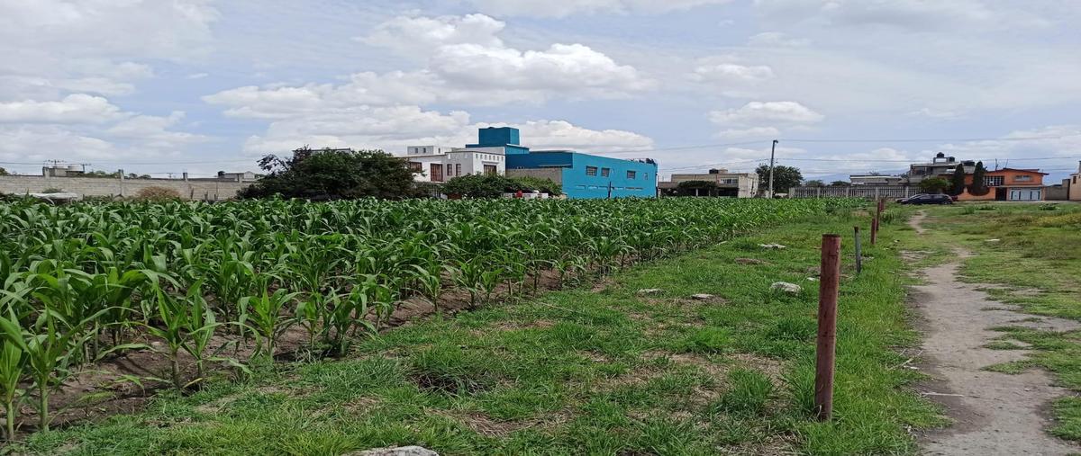 Foto de terreno habitacional en venta en  , san mateo otzacatipan, toluca, méxico, 0 No. 05