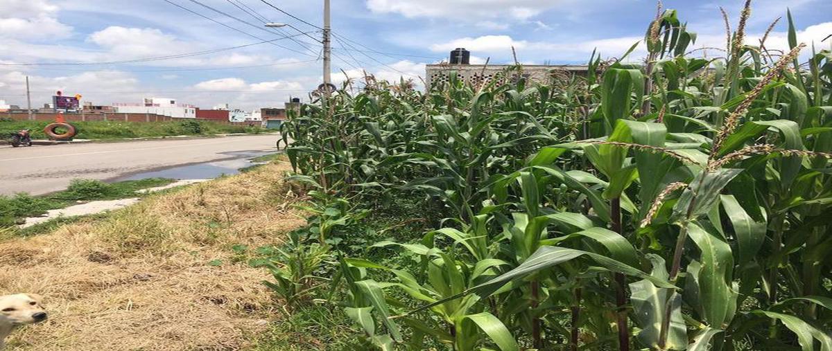 Foto de terreno habitacional en venta en  , san mateo otzacatipan, toluca, méxico, 7283883 No. 03