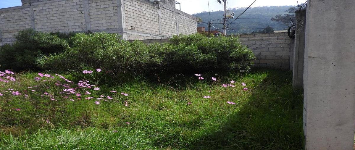 Foto de terreno habitacional en venta en  , san mateo oxtotitlán, toluca, méxico, 0 No. 03