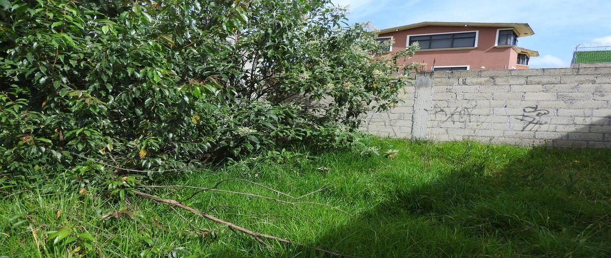 Foto de terreno habitacional en venta en  , san mateo oxtotitlán, toluca, méxico, 0 No. 05