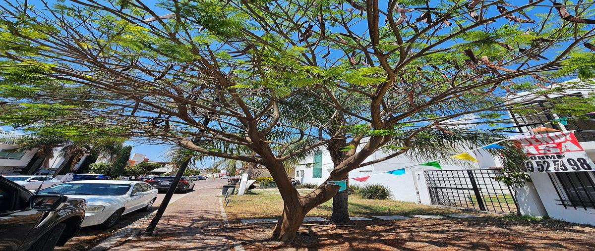 Foto de casa en renta en san mateo , san mateo, corregidora, querétaro, 31042428 No. 04