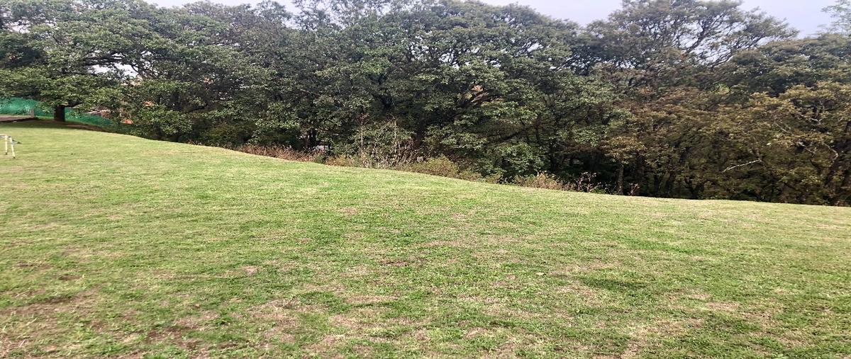 Foto de terreno habitacional en venta en  , san mateo tlaltenango, cuajimalpa de morelos, df / cdmx, 12844083 No. 04