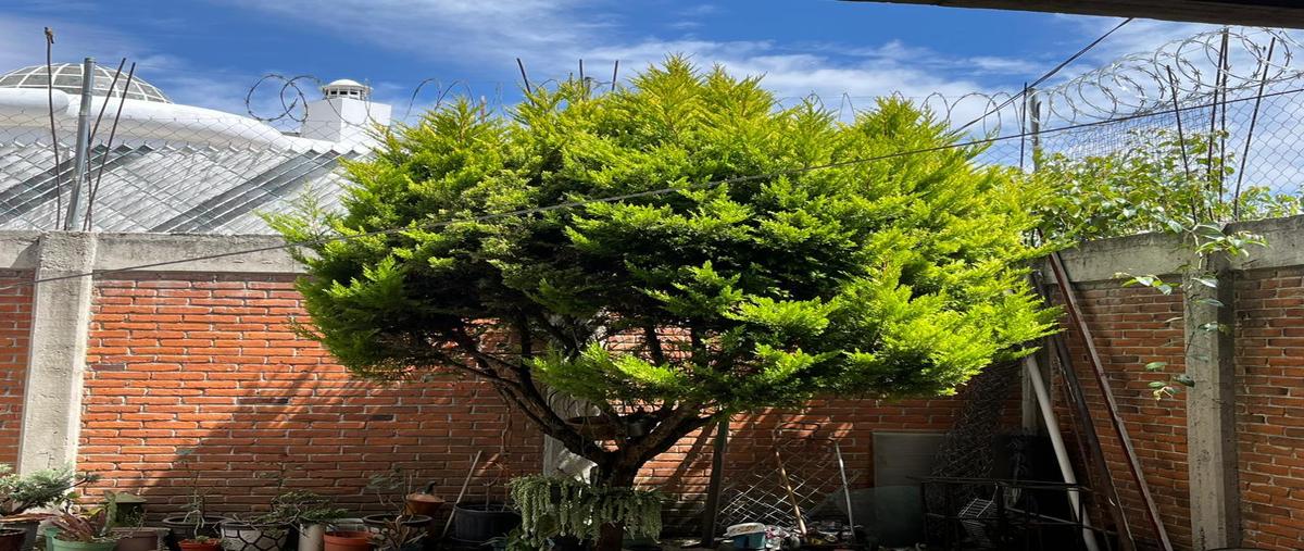 Foto de casa en , san mateo tlaltenango, cuajimalpa de morelos, df / cdmx, 27717241 foto 05 Foto de casa en venta en , san mateo tlaltenango, cuajimalpa de morelos, df / cdmx, 27717241 No. 05