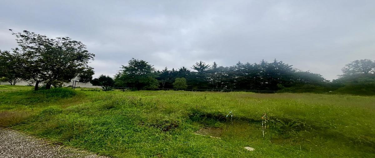 Foto de terreno habitacional en venta en  , san mateo tlaltenango, cuajimalpa de morelos, df / cdmx, 28516236 No. 03