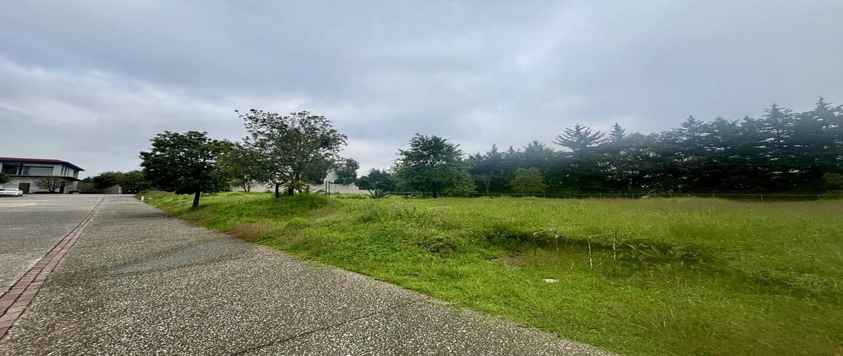 Foto de terreno habitacional en venta en  , san mateo tlaltenango, cuajimalpa de morelos, df / cdmx, 28516236 No. 04