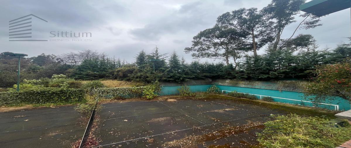 Foto de terreno habitacional en venta en  , san mateo tlaltenango, cuajimalpa de morelos, df / cdmx, 30965401 No. 04