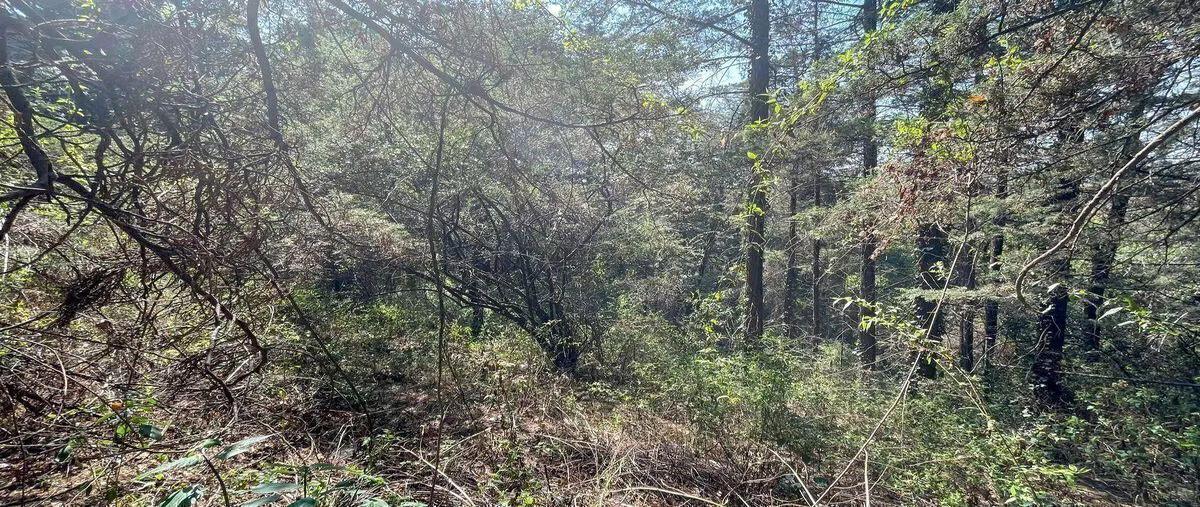 Foto de terreno habitacional en venta en  , san mateo tlaltenango, cuajimalpa de morelos, df / cdmx, 31090982 No. 03