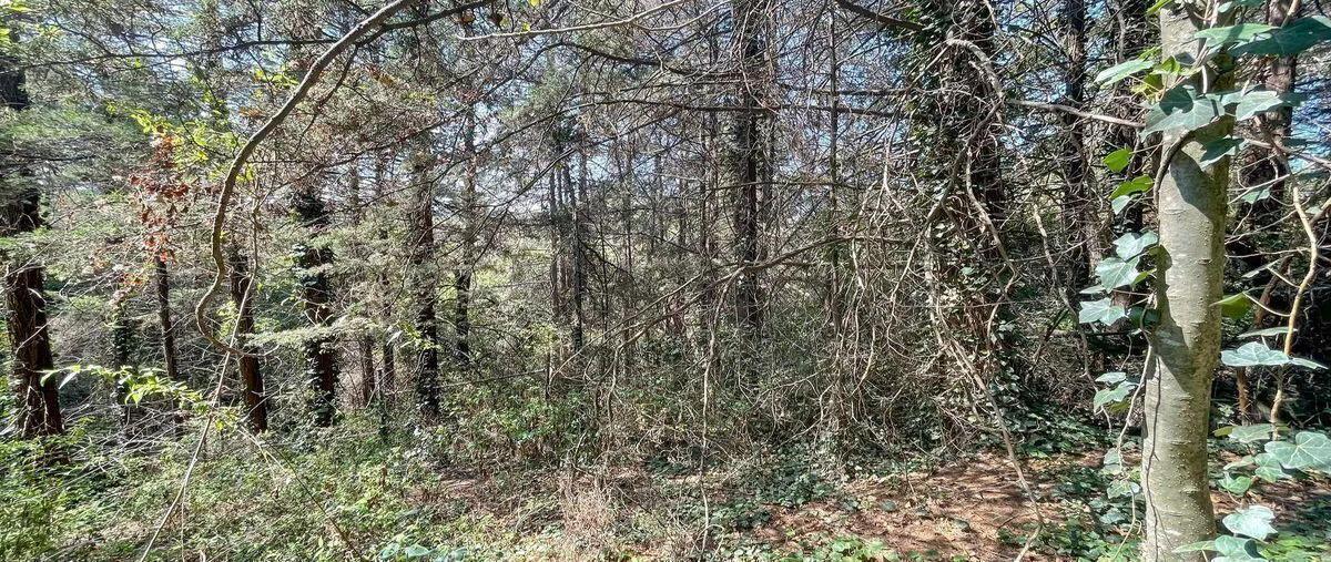 Foto de terreno habitacional en venta en  , san mateo tlaltenango, cuajimalpa de morelos, df / cdmx, 31090982 No. 05