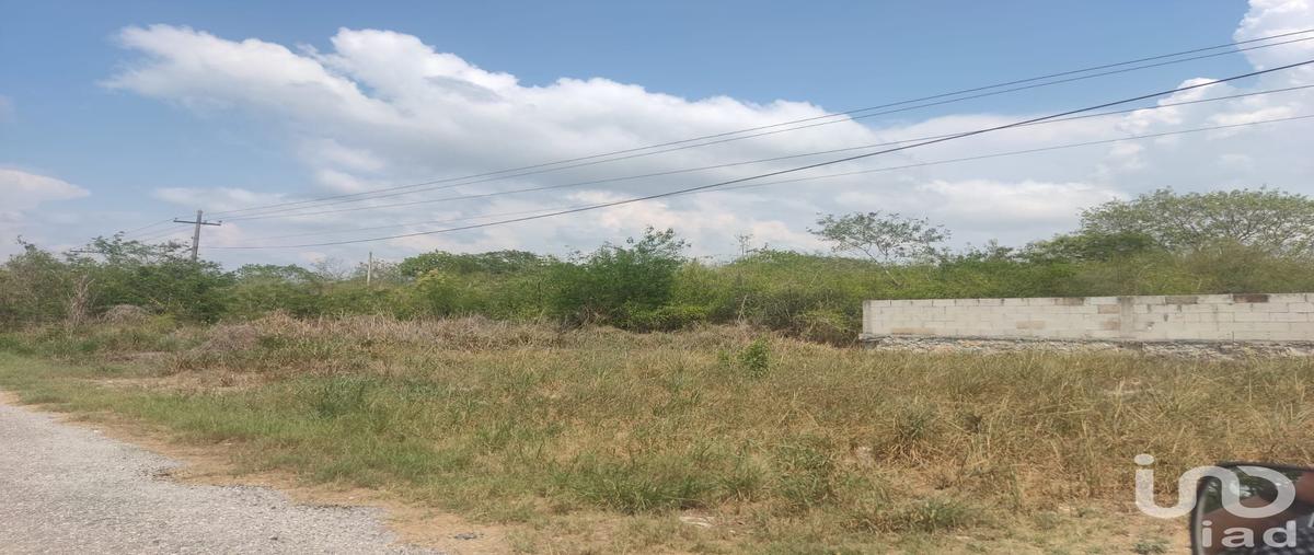 Foto de terreno comercial en venta en san matías cosgaya 87, cosgaya, mérida, yucatán, 28725199 No. 04