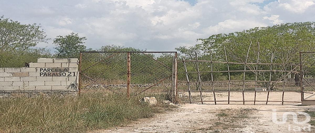 Foto de terreno comercial en venta en san matías cosgaya 87, cosgaya, mérida, yucatán, 28725199 No. 05