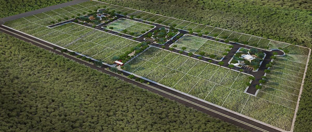 Foto de terreno habitacional en venta en san matías , sierra papacal, mérida, yucatán, 30140940 No. 02