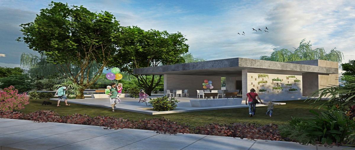 Foto de terreno habitacional en venta en san matías , sierra papacal, mérida, yucatán, 30140940 No. 05