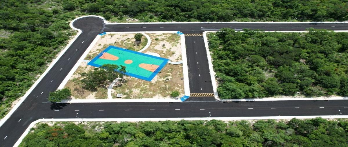 Foto de terreno habitacional en venta en san matías , sierra papacal, mérida, yucatán, 30140940 No. 07