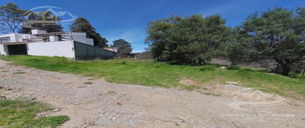 Foto de terreno habitacional en venta en  , san matías tepetomatitlan, apetatitlán de antonio carvajal, tlaxcala, 0 No. 03