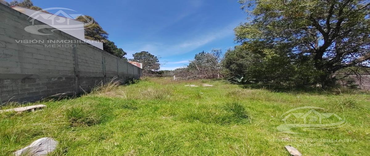 Foto de terreno habitacional en venta en  , san matías tepetomatitlan, apetatitlán de antonio carvajal, tlaxcala, 0 No. 04