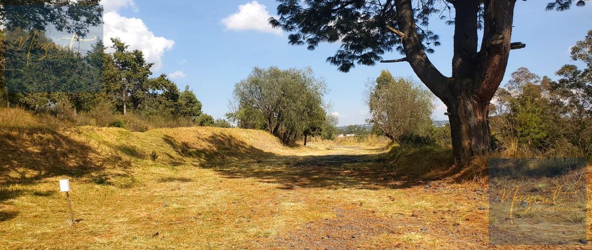 Foto de terreno habitacional en venta en  , san matías tepetomatitlan, apetatitlán de antonio carvajal, tlaxcala, 0 No. 03