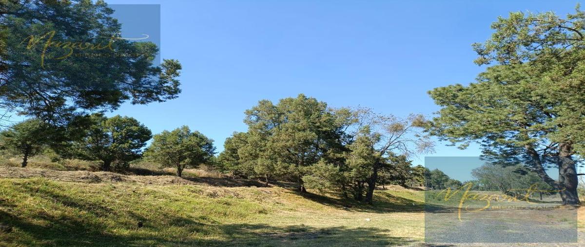 Foto de terreno habitacional en venta en  , san matías tepetomatitlan, apetatitlán de antonio carvajal, tlaxcala, 0 No. 04