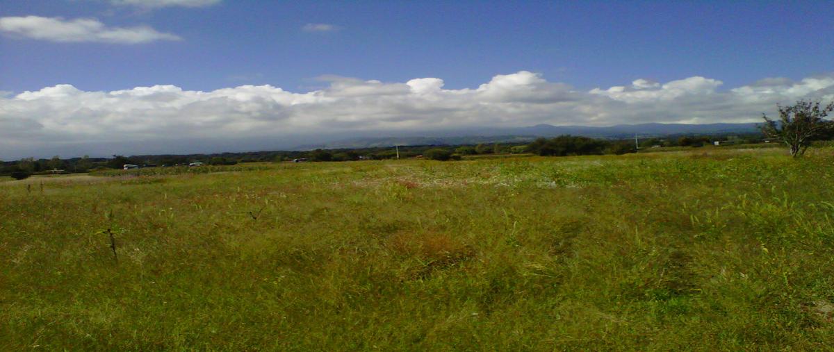 Foto de terreno habitacional en venta en  , san matías tlalancaleca, san matías tlalancaleca, puebla, 12815665 No. 03