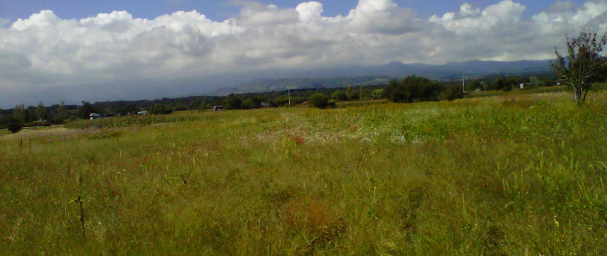 Foto de terreno habitacional en venta en  , san matías tlalancaleca, san matías tlalancaleca, puebla, 12815665 No. 03