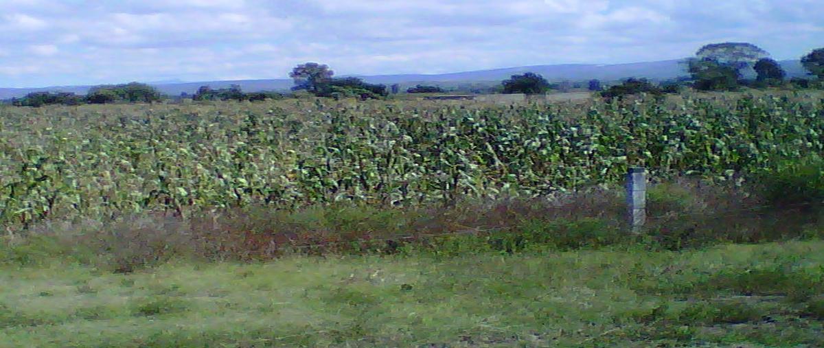 Foto de terreno habitacional en venta en  , san matías tlalancaleca, san matías tlalancaleca, puebla, 12815665 No. 04